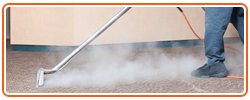 steam cleaning carpets